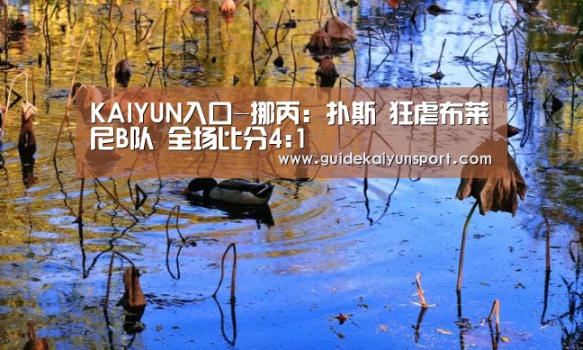 KAIYUN入口-挪丙: 扑斯 狂虐布莱尼B队 全场比分4:1(图3) 开云体育