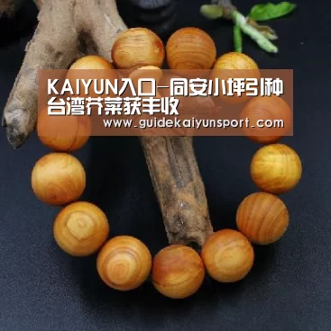 KAIYUN入口