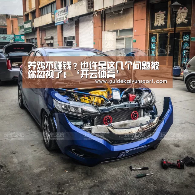 养鸡不赚钱?也许是这几个问题被你忽视了!‘开云体育’(图2) 开云体育
