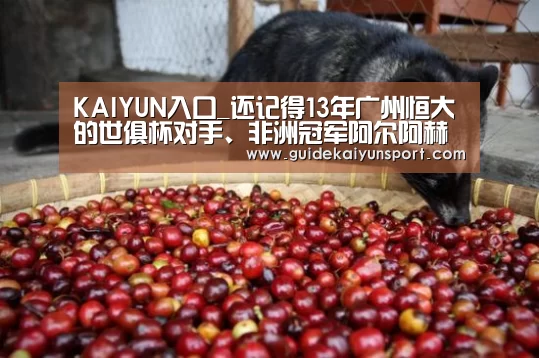 KAIYUN入口_还记得13年广州恒大的世俱杯对手、非洲冠军阿尔阿赫利吗(图2) KAIYUN入口