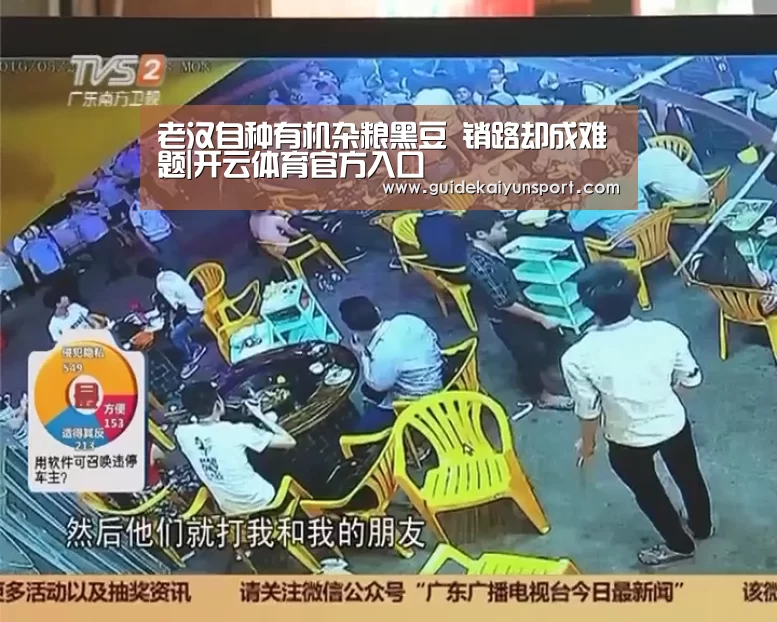 老汉自种有机杂粮黑豆 销路却成难题|开云体育官方入口(图1) KAIYUN入口