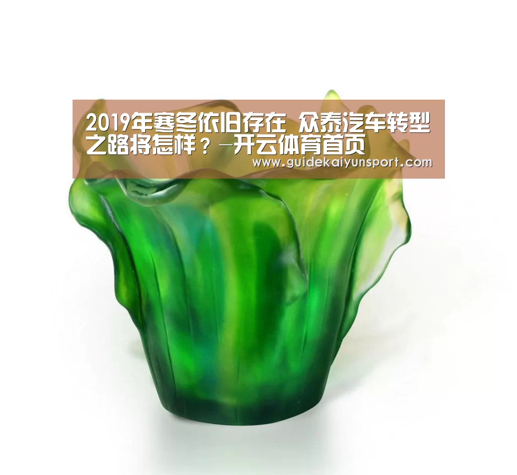 2019年寒冬依旧存在 众泰汽车转型之路将怎样?-开云体育首页(图1) 开云体育