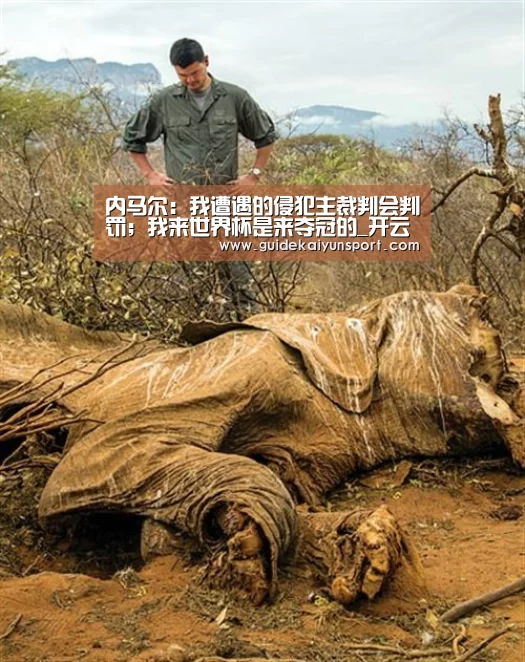 开云体育官方入口