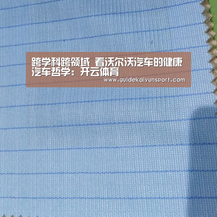 跨学科跨领域 看沃尔沃汽车的健康汽车哲学:开云体育(图1) 开云体育首页