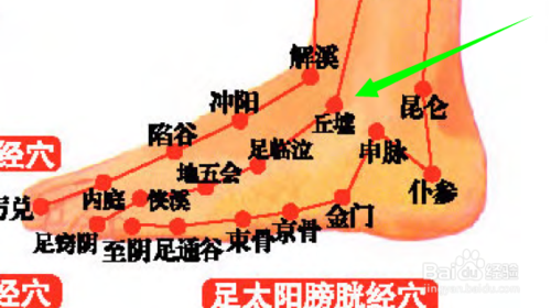 开云体育首页