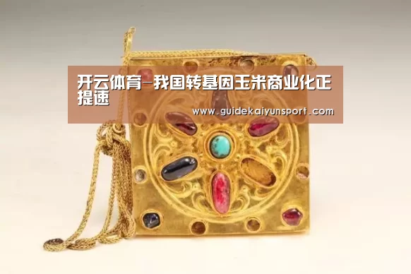 开云体育-我国转基因玉米商业化正提速(图2) 开云体育