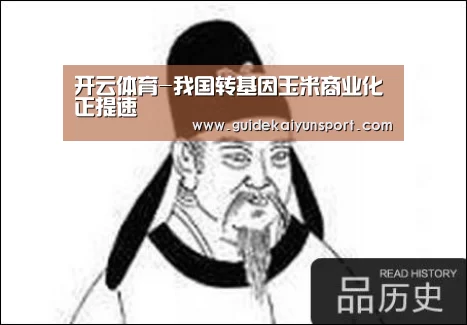开云体育-我国转基因玉米商业化正提速(图1) 开云体育