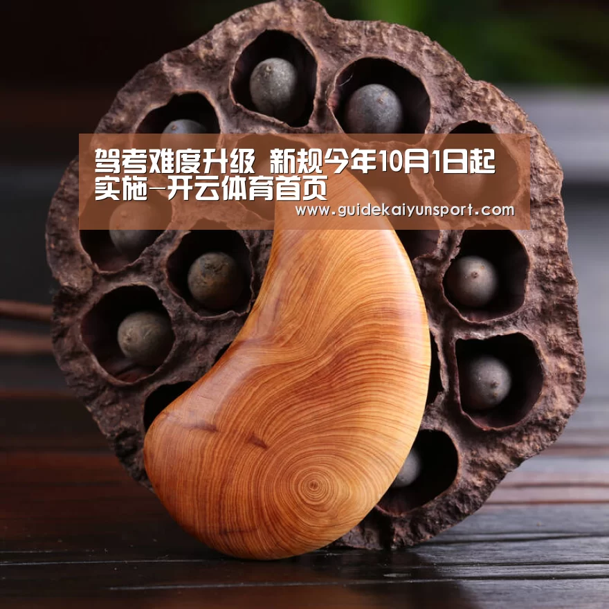 驾考难度升级 新规今年10月1日起实施-开云体育首页(图2) 开云体育首页