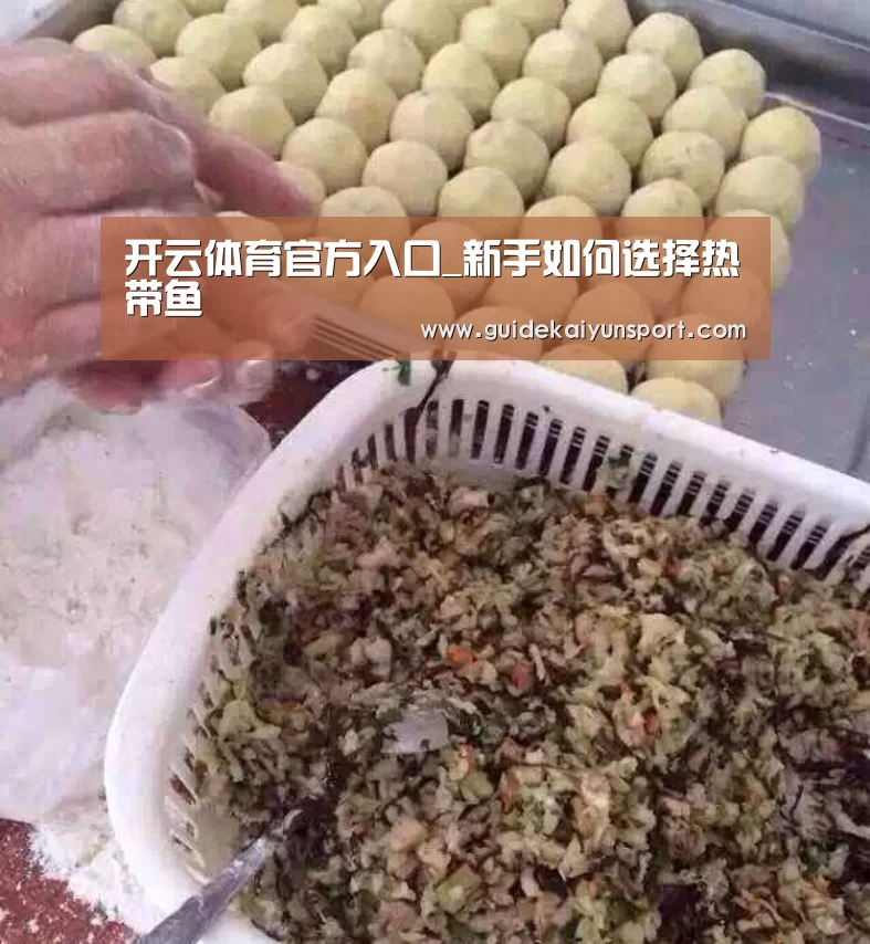开云体育官方入口