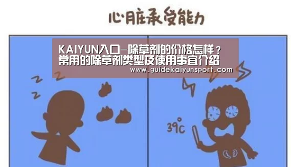 开云体育官方入口