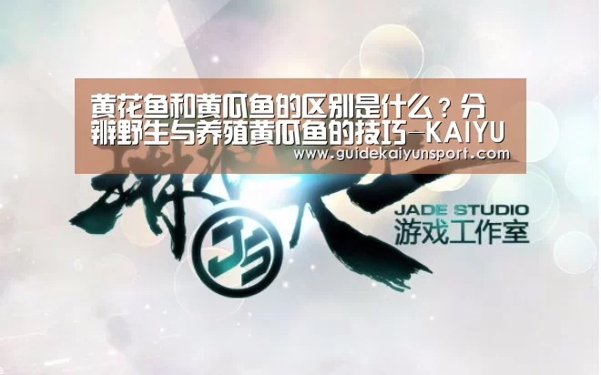 开云体育首页