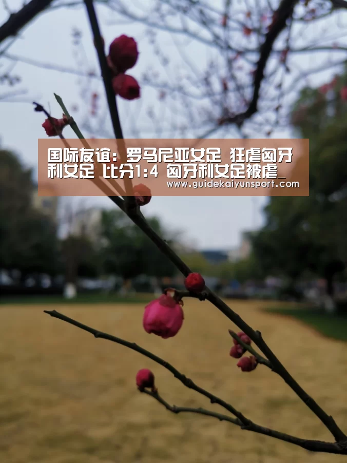 国际友谊: 罗马尼亚女足 狂虐匈牙利女足 比分1:4 匈牙利女足被虐_开云体育官方入口(图1) 开云体育
