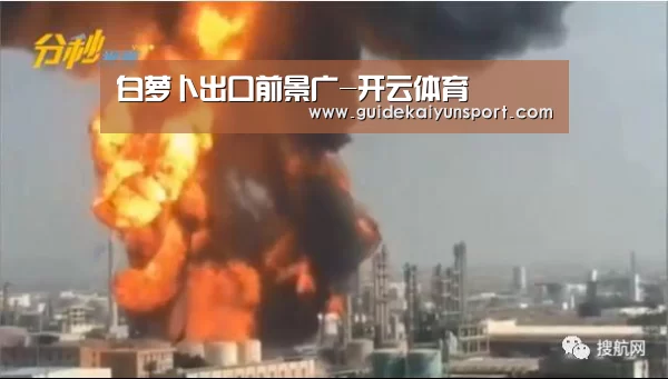 白萝卜出口前景广-开云体育(图3) KAIYUN入口